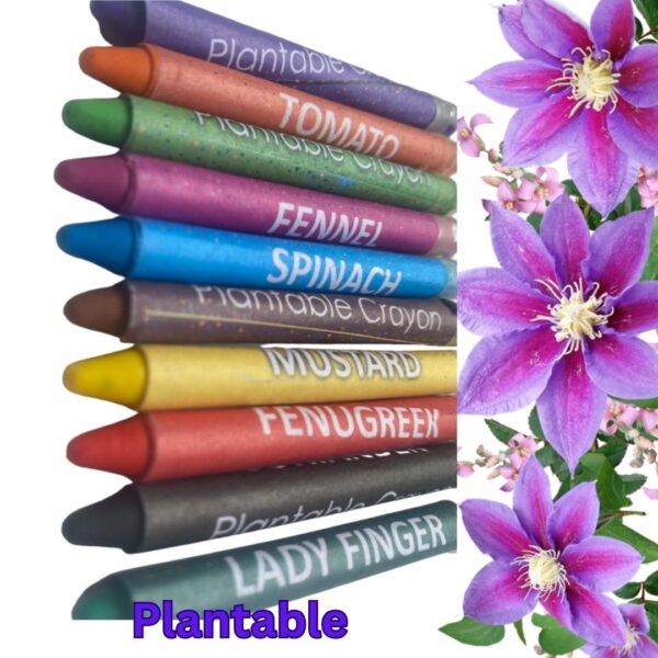Non-toxic plantable wax crayons made from natural ingredients, safe for children, with embedded seeds that grow into plants when planted after use.