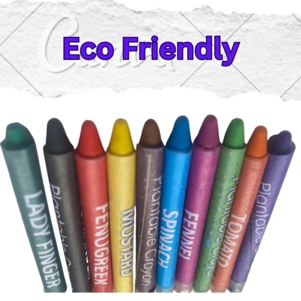 "Non-toxic plantable wax crayons made from natural ingredients, safe for children, with embedded seeds that grow into plants when planted after use."