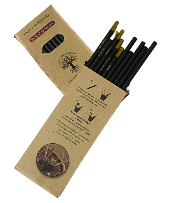 Black Plantable Eco friendly seed Pencils made of recycled Paper