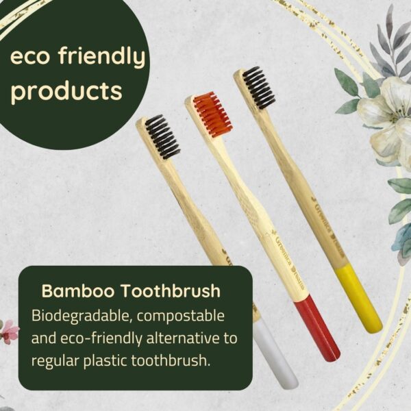 A bamboo toothbrush with a biodegradable handle and soft, BPA-free nylon bristles, showcasing an eco-friendly design against a white background.